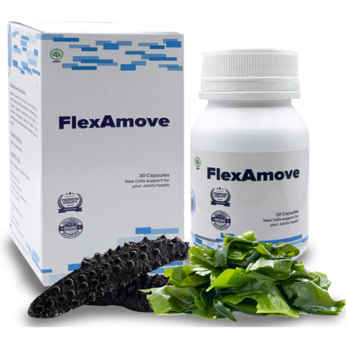 FlexAmove1